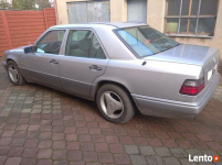 Mercedes-Benz W124 Brzoza - zdjęcie 2