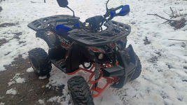 Sprzedam qlada Czajków - zdjęcie 3