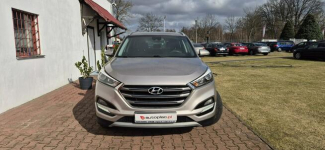 Hyundai Tucson MEDIA-BLUETOOTH Paproć - zdjęcie 2