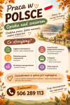 Opiekun seniora – praca w Polsce z zakwaterowaniem