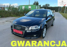 Audi A3 Climatronic   wymieniony rozrząd ledy xsenon automat navi