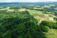 20 km od Rzeszowa | 0.39 ha | Zielona okolica Straszydle - zdjęcie 7