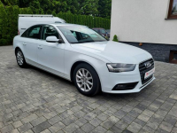 Audi A4 ** Nawigacja ** Chrom ** Bezwypadkowa ** Jatutów - zdjęcie 3