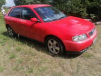 Audi Zboże - zdjęcie 9
