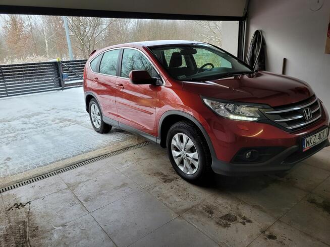 Sprzedam Pionki - zdjęcie 3