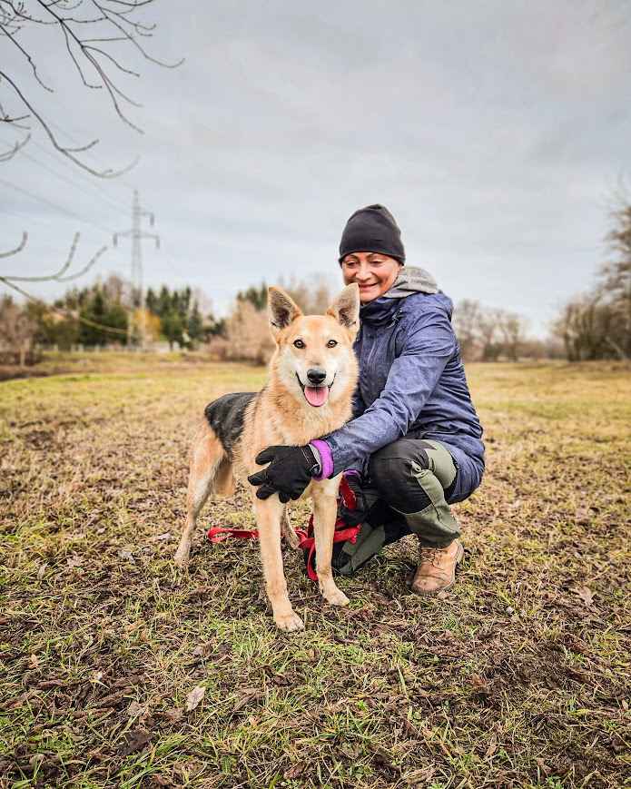 Jerry - od szczeniaka w schronisku, nigdy nie miał domu! Pomóż! :( Mokotów - zdjęcie 5