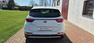 Kia Sportage GT LINE-AWD-AUTOMAT-GRZANA KIEROWNICA Paproć - zdjęcie 7