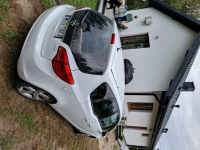 Sprzedam Nagodów - zdjęcie 2