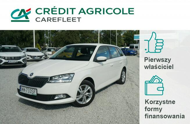 Škoda Fabia 1.0 TSI/95 KM Ambition Salon PL Fvat 23% WW733SF Poznań - zdjęcie 1