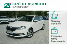 Škoda Fabia 1.0 TSI/95 KM Ambition Salon PL Fvat 23% WW733SF Poznań - zdjęcie 1