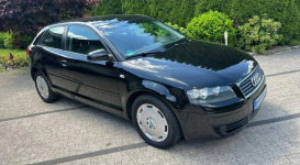 Audi A3 8P 1.6 MPI 101KM Czarna Niski Przebieg Klimatronik Opłacona Wrocław - zdjęcie 11