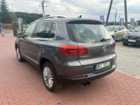 Volkswagen Tiguan CUP, 4Motion, DSG,Gwarancja Sade Budy - zdjęcie 10