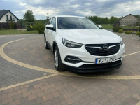 Opel Grandland X Lipówki - zdjęcie 4