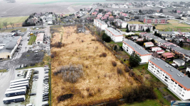 DUŻA DZIAŁKA NA SPRZEDAŻ W PIOTRKOWICACH | 3287m2 | WARUNKI ZABUDOWY | Nowe Miasto - zdjęcie 10