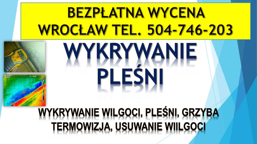 Wykrycie pleśni, t504-746-203. Wrocław, wykrywanie, pleśń, lokalizacja Psie Pole - zdjęcie 2