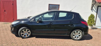 Peugeot 308 PANORAMA Paproć - zdjęcie 4