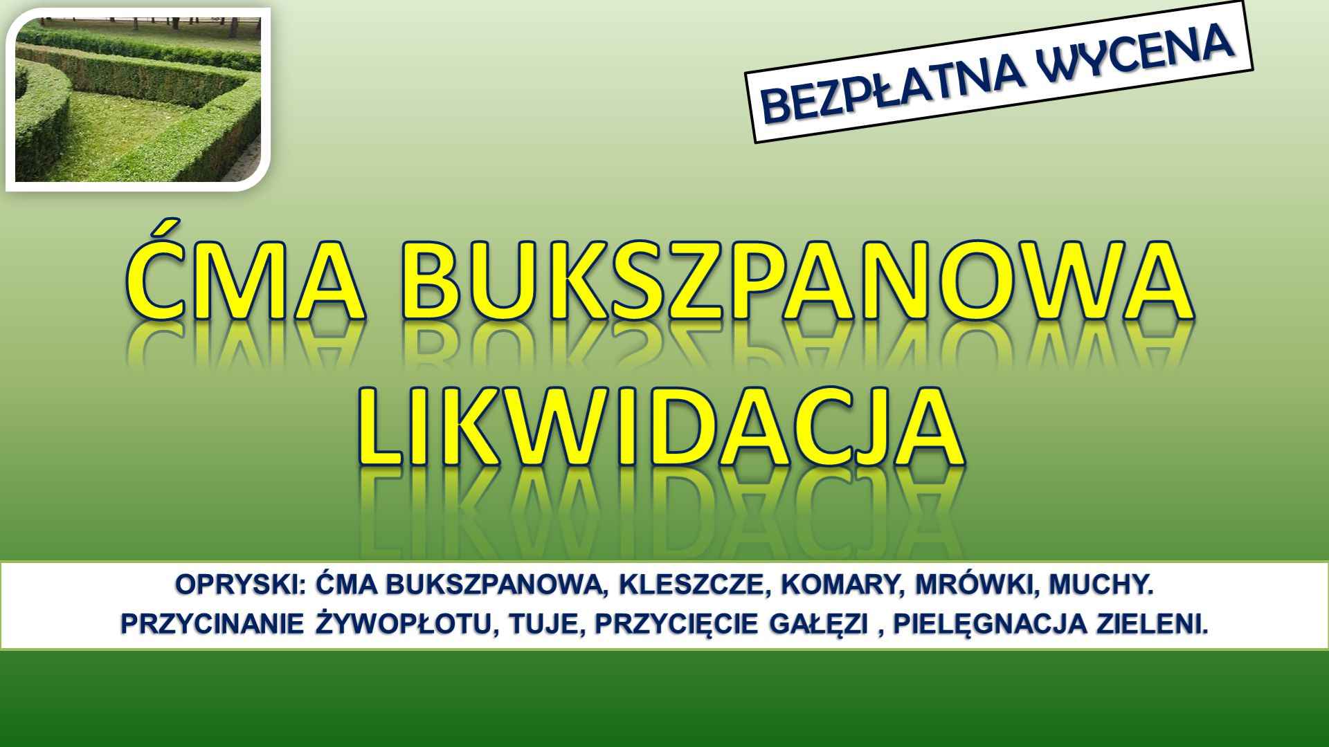 Opryski na ćmę  bukszpanową, Wrocław, tel. 504-746-203. mszyce, oprysk Psie Pole - zdjęcie 3