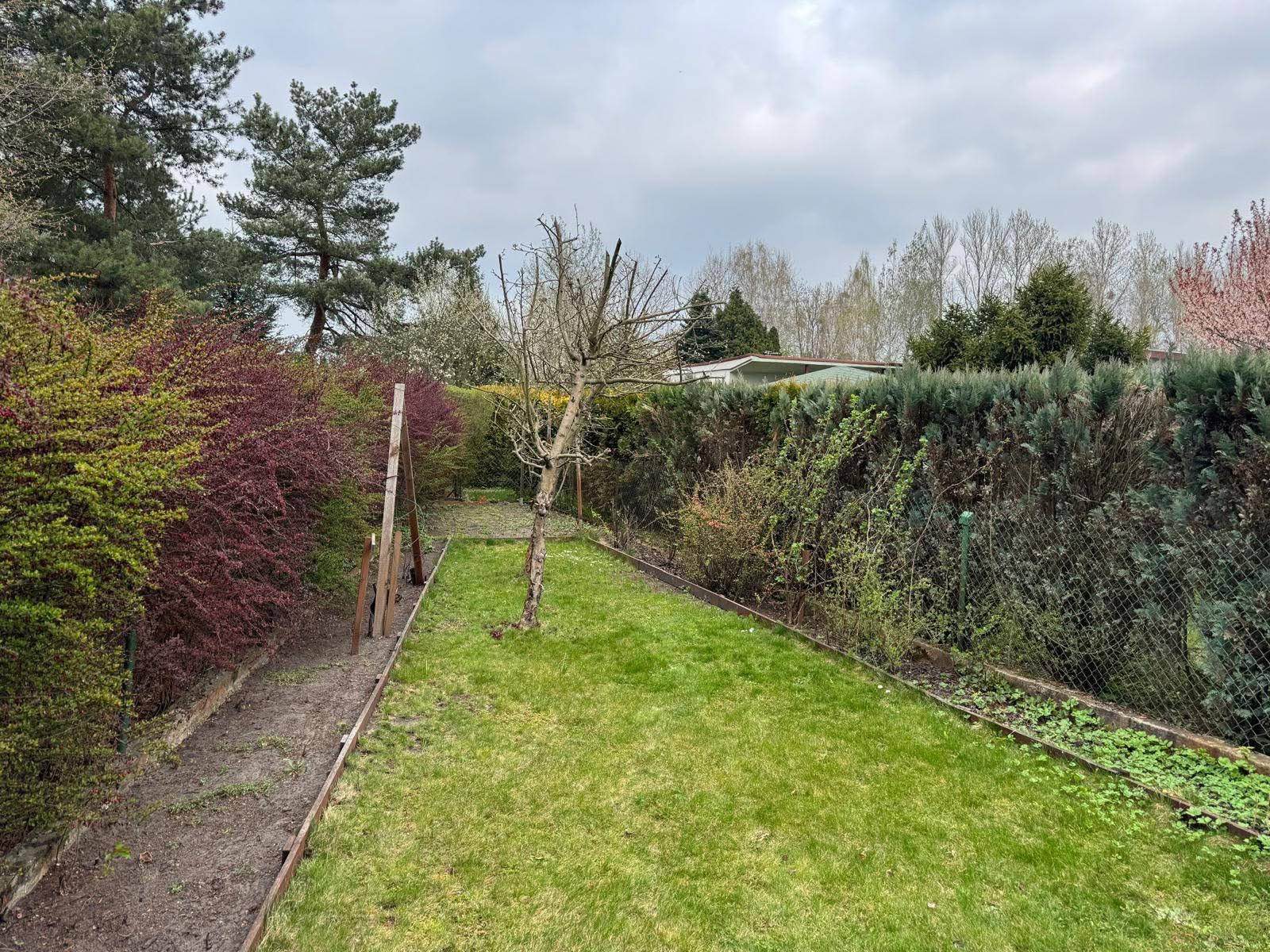 Sprzedam działkę ROD Częstochowa - zdjęcie 5