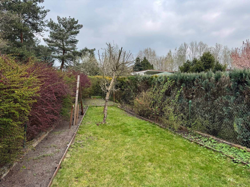 Sprzedam działkę ROD Częstochowa - zdjęcie 5