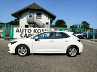 Toyota Corolla Krajowy, bogata wersja. Goczałkowice-Zdrój - zdjęcie 7