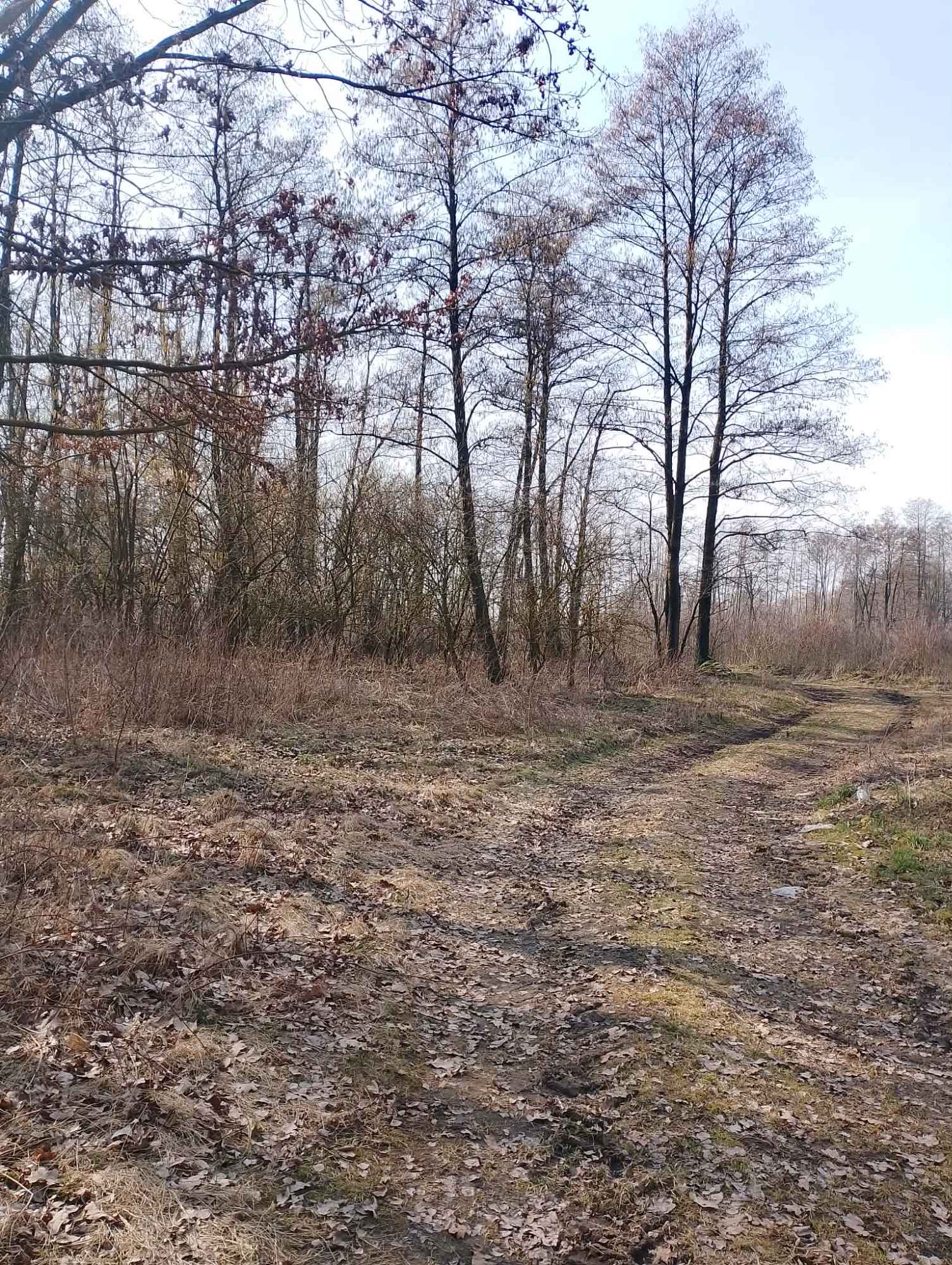 Sprzedam Działki Rekreacyjno -Wypoczynkowe Krubin - zdjęcie 3