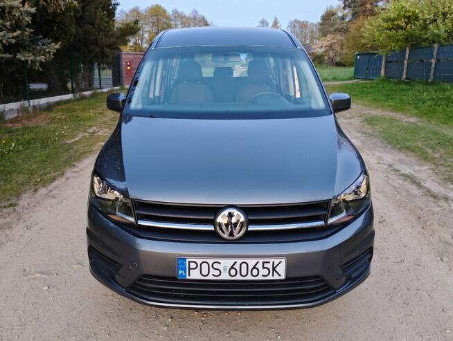 Caddy Maxi przewóz osób niepełnosprawnych Ostrów Wielkopolski - zdjęcie 5