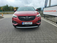 Opel Grandland X Lipówki - zdjęcie 3