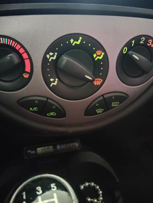 Tania Foczka Brzyków - zdjęcie 9