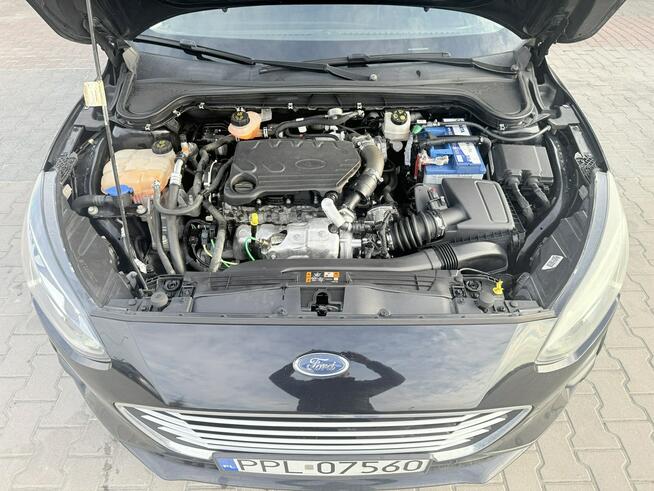 Ford Focus Zielona Łąka - zdjęcie 10