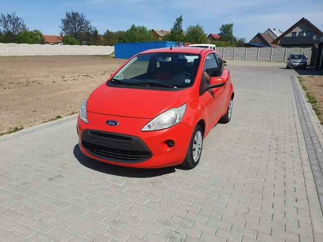 Ford KA 1.2 Beznyna Wspomaganie kierownicy 2009r Raty Zamiana Strobice - zdjęcie 2