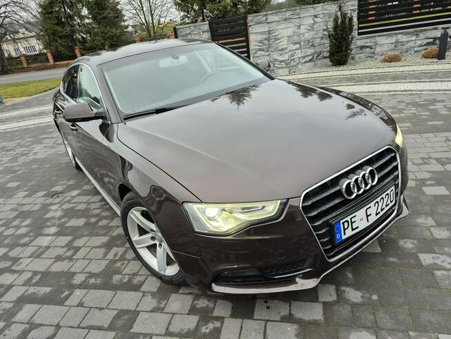 Audi A5 xenon led navi chromy ładny  lift Drelów - zdjęcie 8