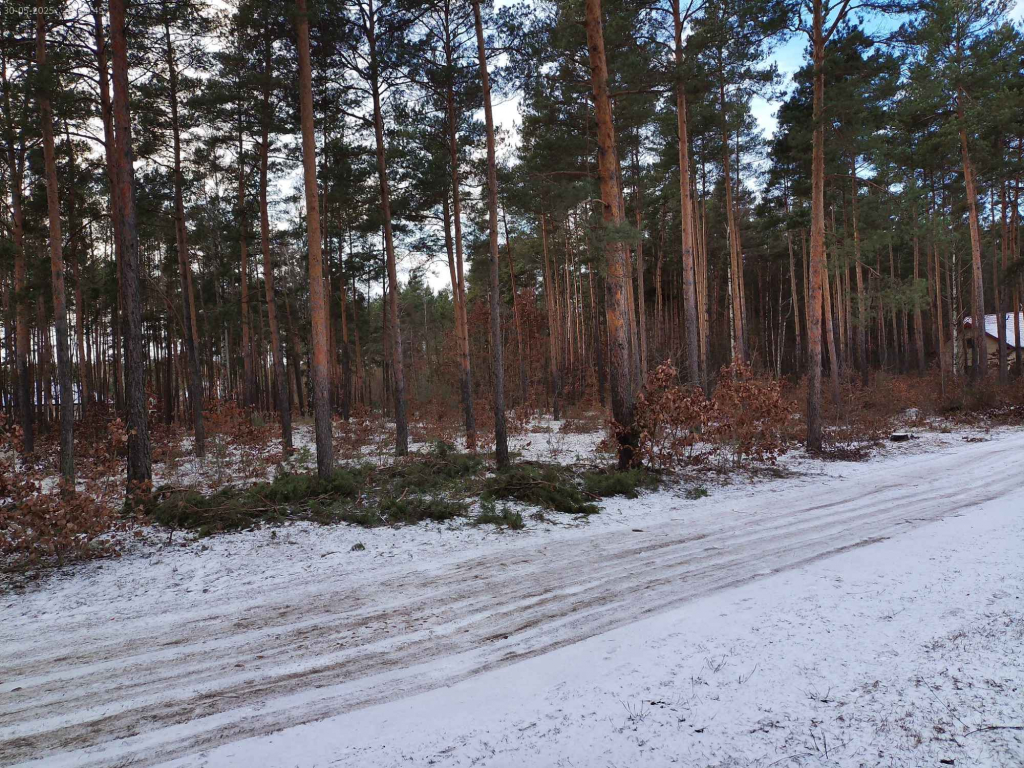 Działki  na sprzedaż  , Leśno  budowlane Marynino - zdjęcie 3