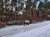 Działki  na sprzedaż  , Leśno  budowlane Marynino - zdjęcie 3