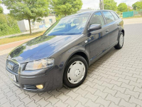 Audi A3 8P 1.6B 2007r Sportback Climatronic 5-Drzwi Serwisowane Hak!