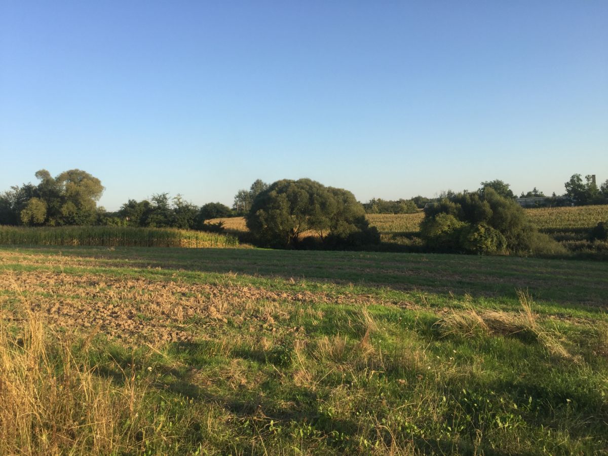 Działka na sprzedaż Golęczewo Golęczewo - zdjęcie 5