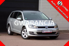 Volkswagen Golf Navigacja /Klimatronic /1,4 /122KM /2014