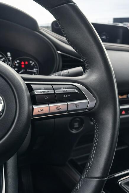 Mazda CX-30 Sadlno - zdjęcie 10