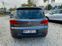 Volkswagen Tiguan AUTO WZÓR,SERWIS,FULL OPCJA Kanie - zdjęcie 4