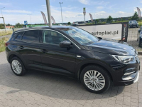 Opel Grandland X Lipówki - zdjęcie 7