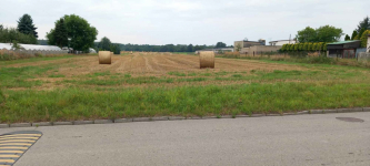 Sprzedam działkę budowlaną 7100m2 - Tarnowskie Góry Repty Śląskie Tarnowskie Góry - zdjęcie 3