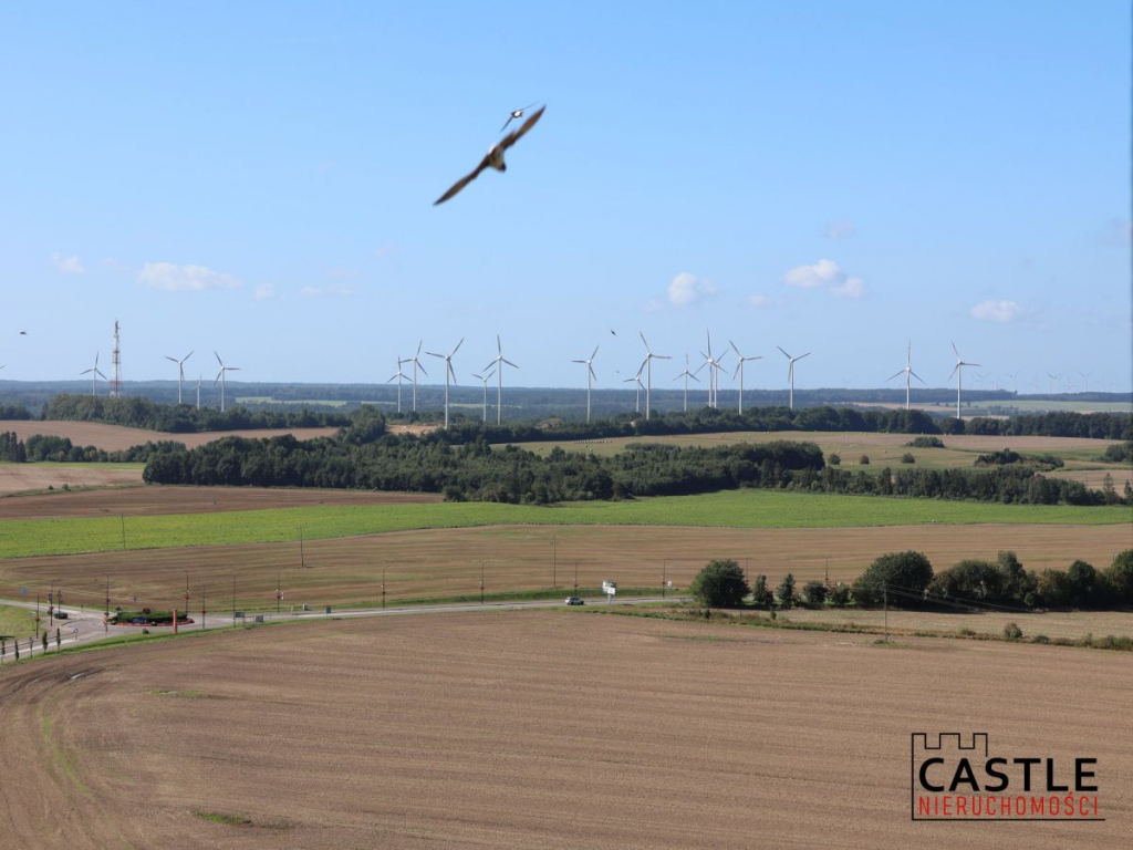 Działka|Gniewino|Blisko jeziora Gniewino - zdjęcie 3