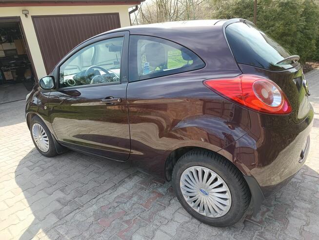Ford KA 1.2 Oryginalny lakier mały przebieg Szydłowiec - zdjęcie 4