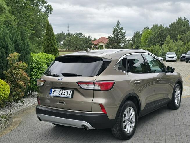 Ford Kuga 1.5 EcoBlue 120KM Titanium / Salon PL I-właściciel Skępe - zdjęcie 4