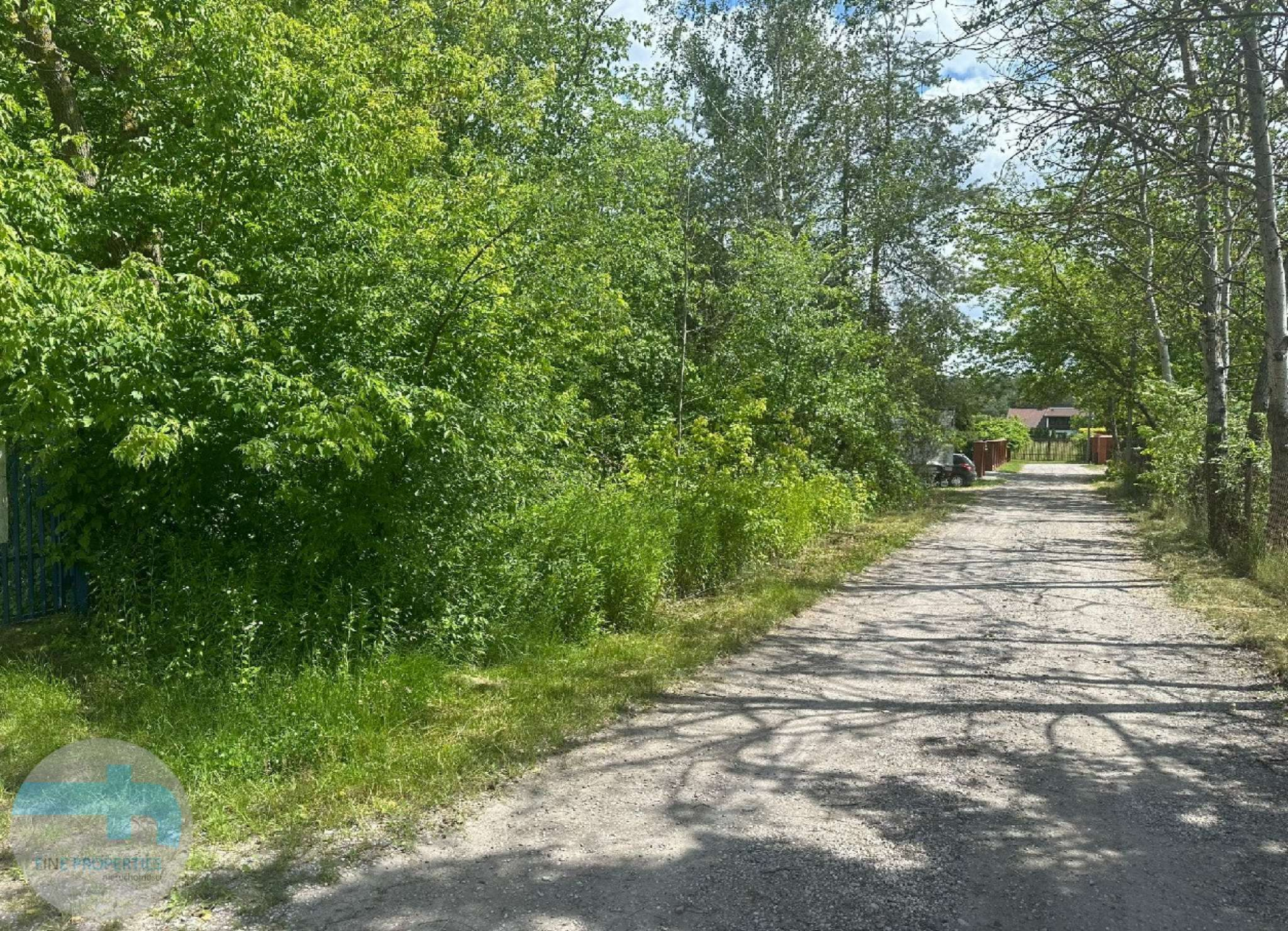 Dwie działki (1083 m2 i 1035 m2), niedaleko ulicy Warszawskiej. Michałów-Reginów - zdjęcie 1