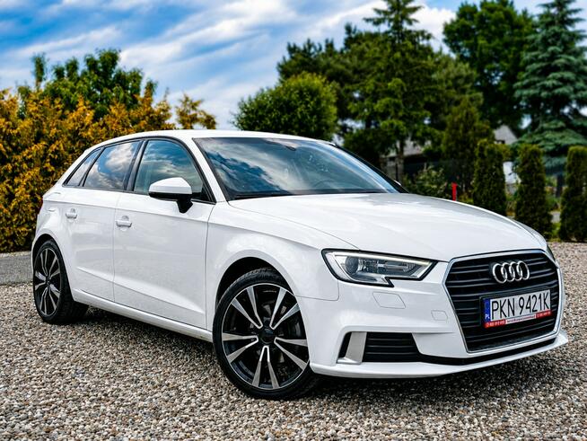 Audi A3 Sadlno - zdjęcie 1