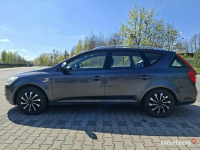 Kia Ceed I 1.6 16V, 126 KM, benzyna + LPG Łaziska Górne - zdjęcie 3