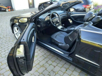 CLK 200 KOMPRESOR Avantgarde Słupsk - zdjęcie 10