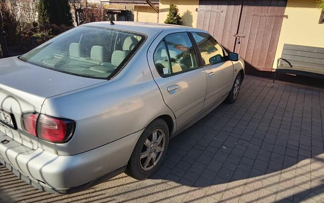 Sprzedam Dzigorzew - zdjęcie 4