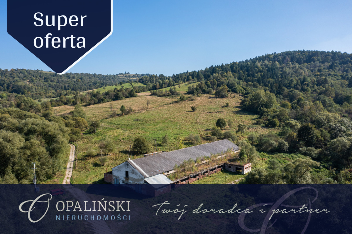 Potencjał inwestycyjny | Bieszczady | Magazyn | Krościenko - zdjęcie 1