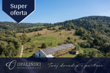 Potencjał inwestycyjny | Bieszczady | Magazyn |